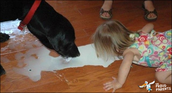 dont-cry-over-spilled-milk