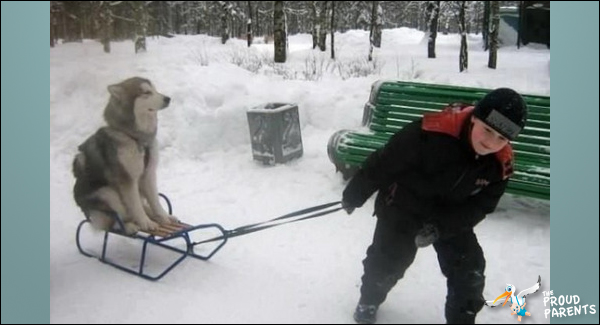 kid-pulling-dog-sled