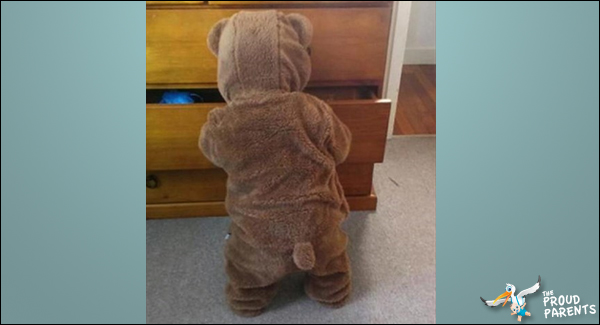 put-my-son-to-sleep-in-his-onesie-woke-up-to-a-bear-raiding-my-drawers